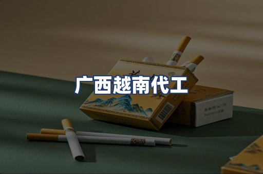 广西越南代工