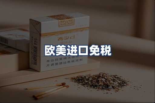 欧美进口免税